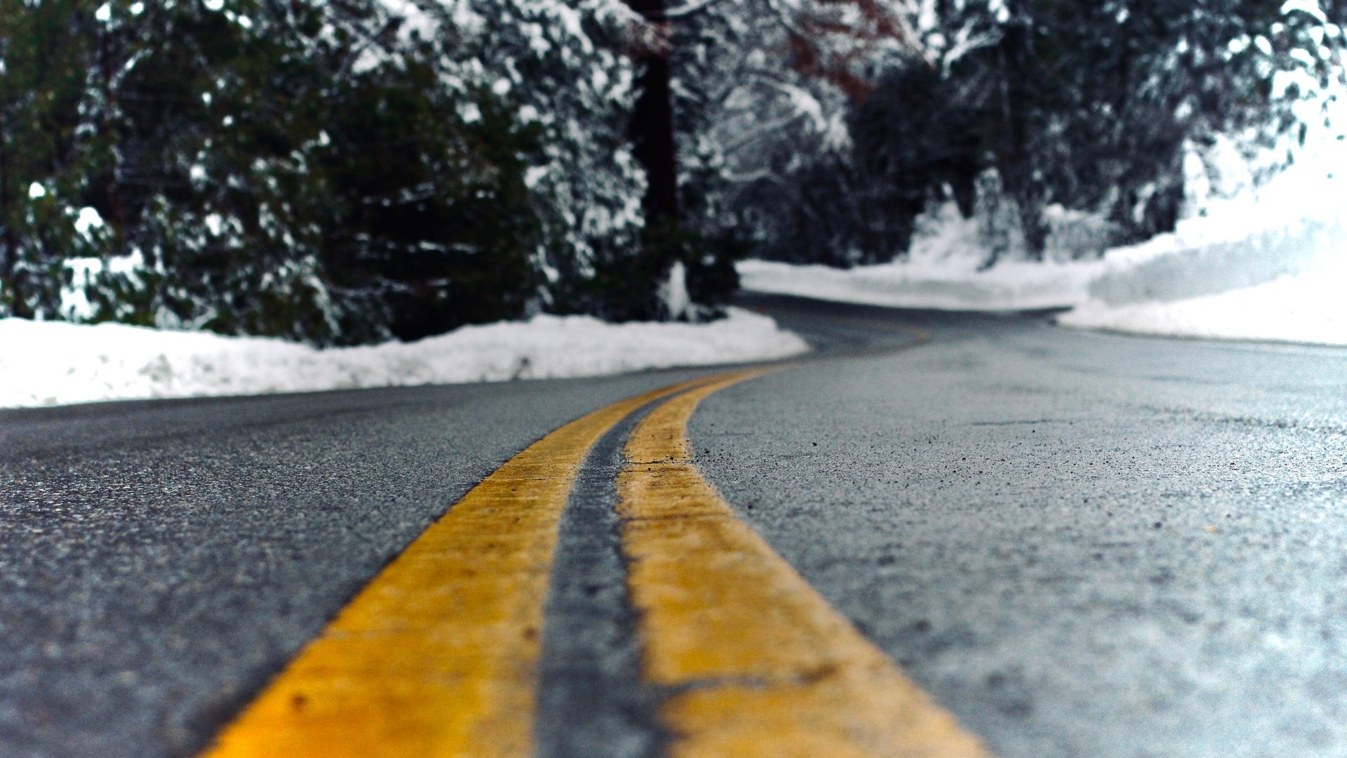 https://www.northeast-power.coop/sites/default/files/revslider/image/brian-montano-DT0dO6JHEUk-unsplash.jpg