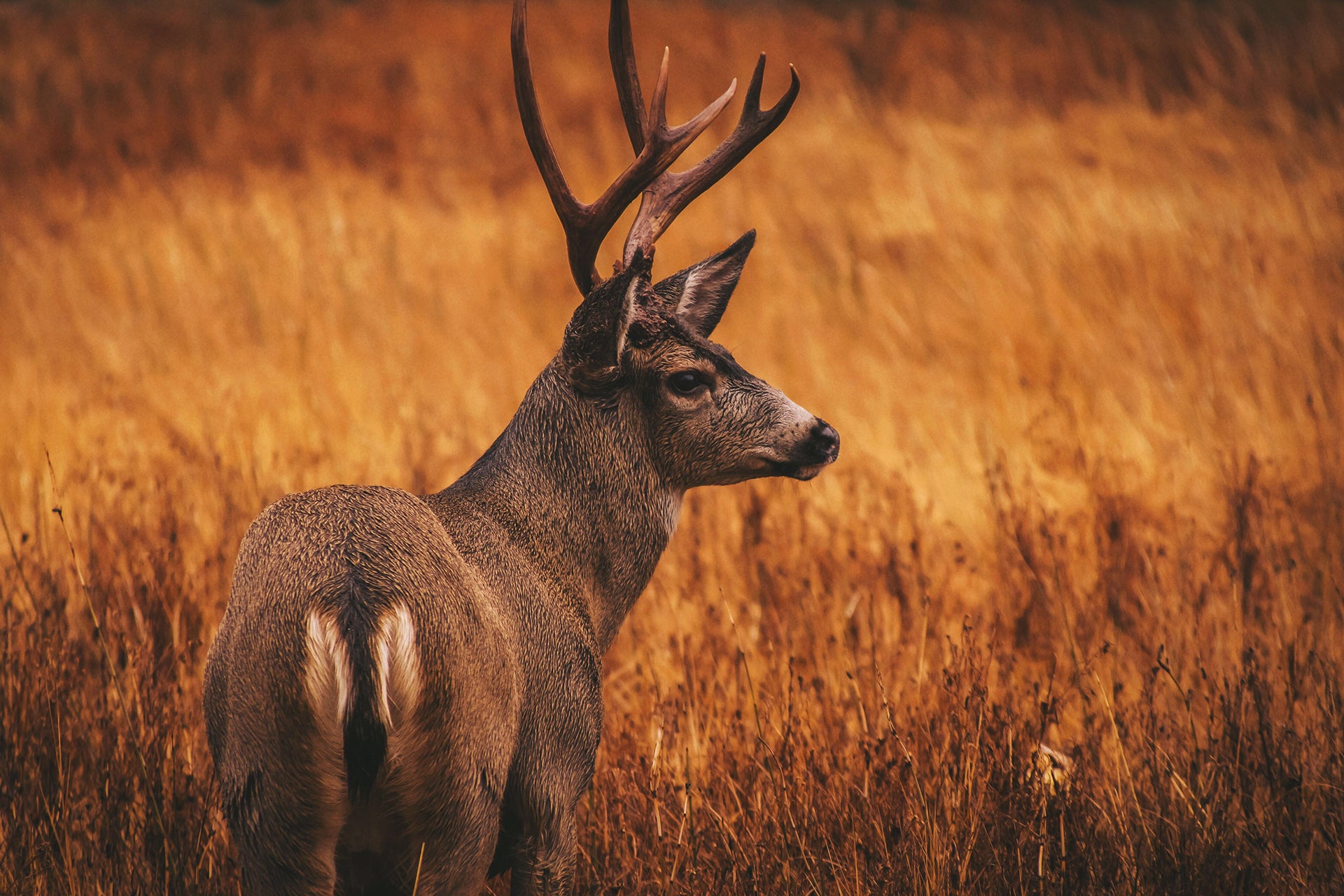 https://www.northeast-power.coop/sites/default/files/revslider/image/clyde-he-3klDayorINw-unsplash.jpg